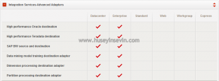 Integration Services Advanced Adapters